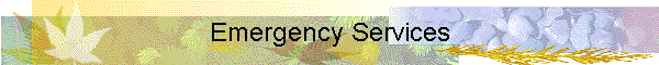 Emergency Services