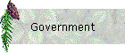 Government